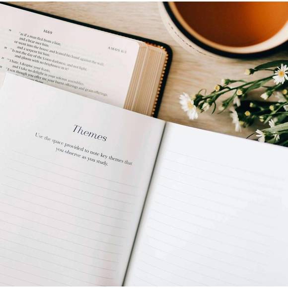 NEW THE DAILY GRACE CO. book by book bible study journal in multi - Picture 3 of 5